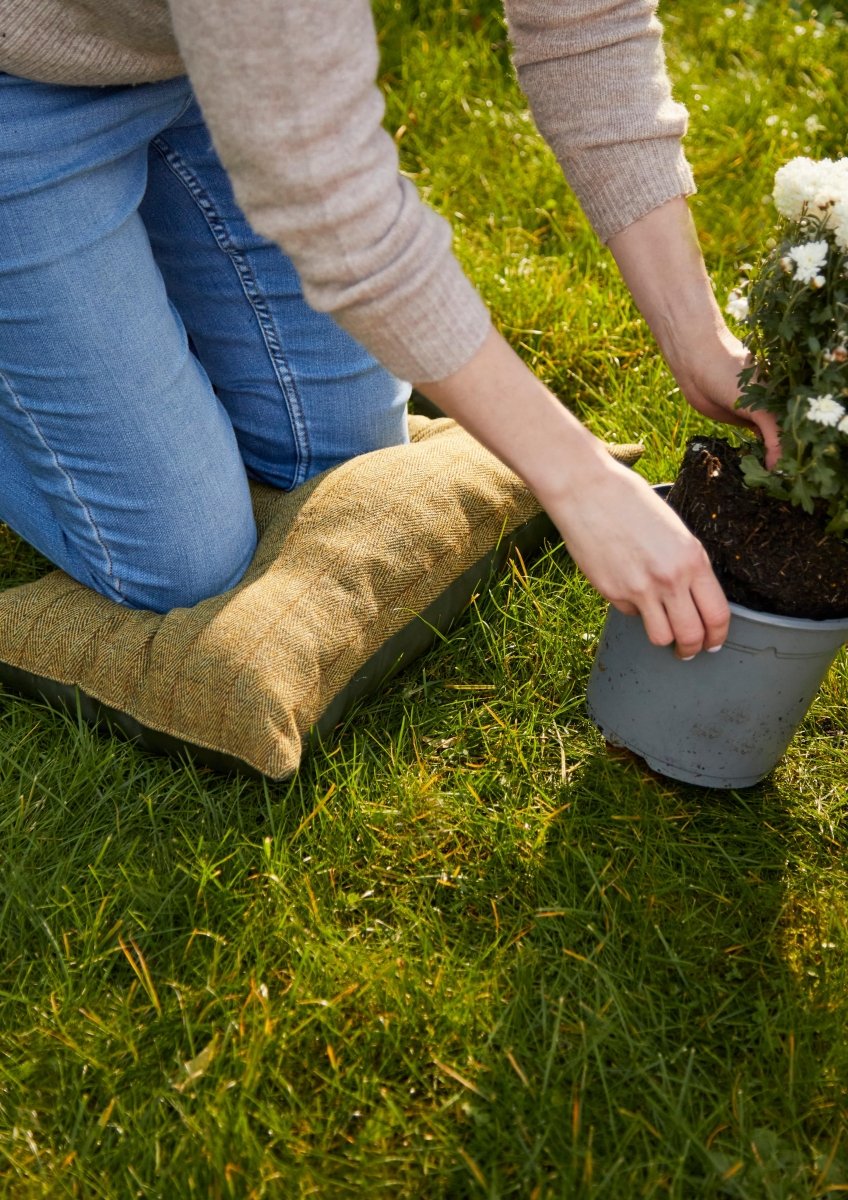 MoodCompanyNL - Kniekussen Bosgroen - Tweed - 51x36 - Tweedmill - 5060958302583