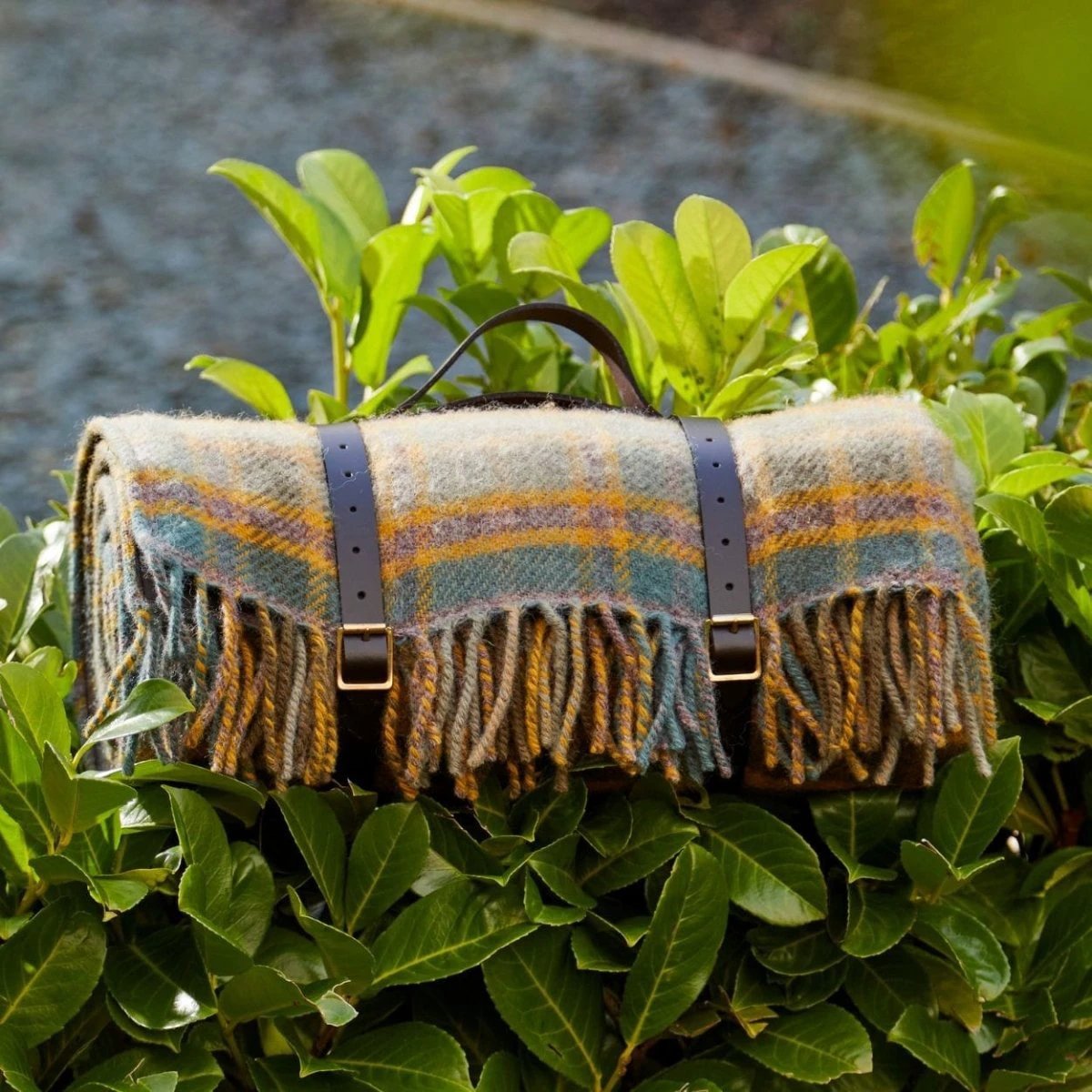 Picknickkleed Polo Cottage - Wol - Leren Draagset - Waterdicht - 145x183cm - Tweedmill by MoodCompanyNL