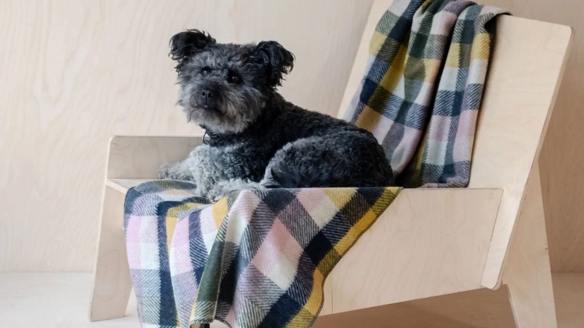 Hondendekens - MoodCompanyNL