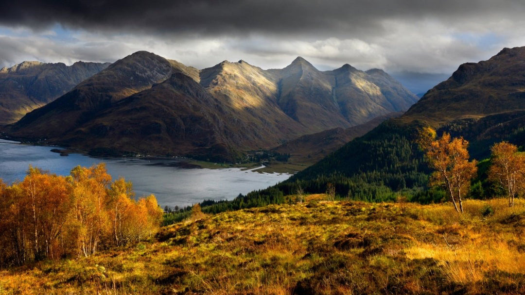 Kaarsen en Diffusers Herfst en Winter seizoen - MoodCompanyNL