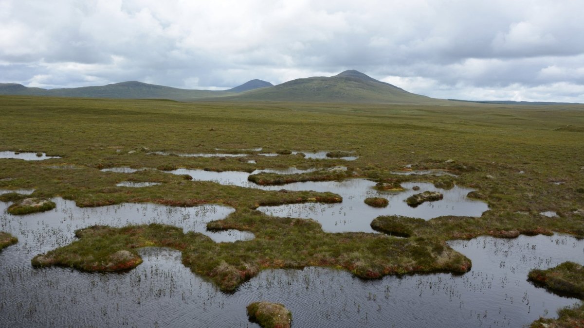 Mirte en Munt - MoodCompanyNL