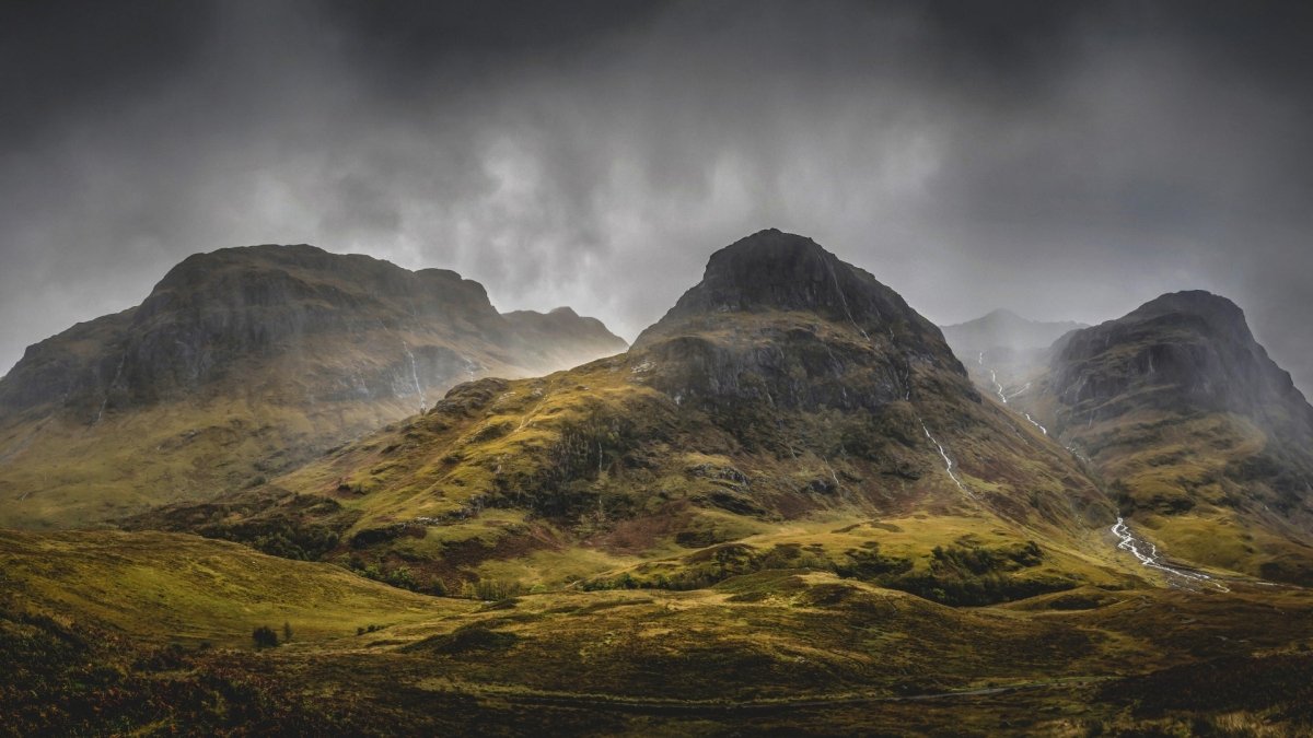 NEAT Whiskyglas - MoodCompanyNL