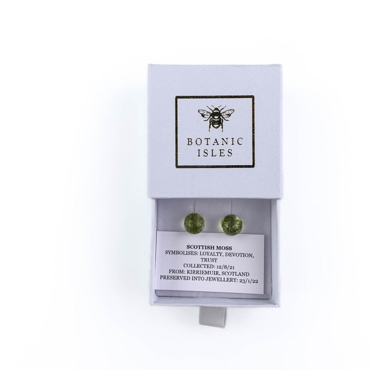 MoodCompanyNL - Oorknopjes Moss Sterling Silver - 6095646095095