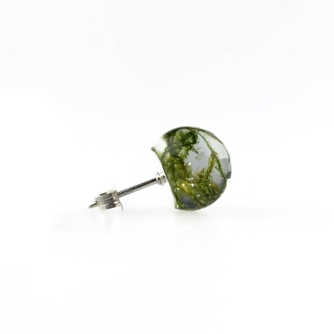 MoodCompanyNL - Oorknopjes Moss Sterling Silver - 6095646095095